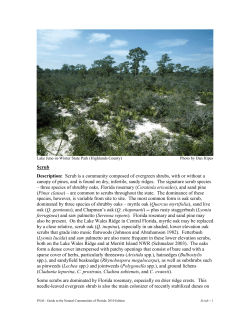 Scrub (afj 3/30/06) - Florida Natural Areas Inventory
