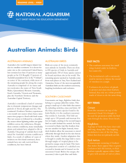 Australian Birds EdFactSheet