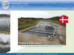 Model 3 Fish Farm