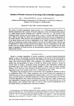 Kinetics of Protein Turnover in Growing Cells of