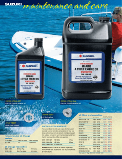 maintenance and care - International Marine Service