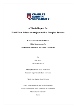 A Thesis Report for Fluid Flow Effects on Objects with