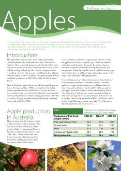 Introduction Apple production in Australia