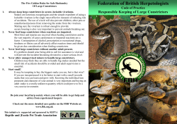 information sheet