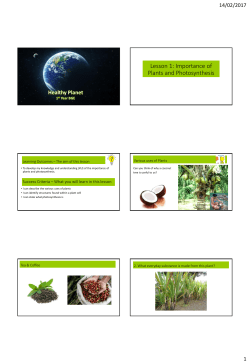 Lesson 1: Importance of plants and Photosynthesis