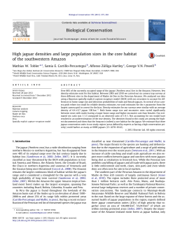 High jaguar densities and large population sizes in the core habitat