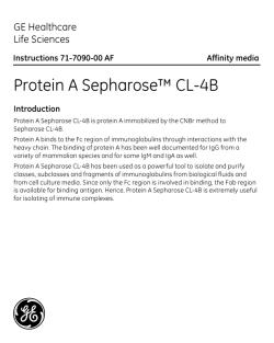 Protein A Sepharose™ CL-4B - GE Healthcare Life Sciences
