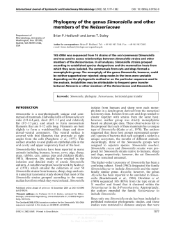 Phylogeny of the genus Simonsiella and other members of the