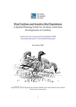 Wind Turbines and Sensitive Bird Populations: A Spatial