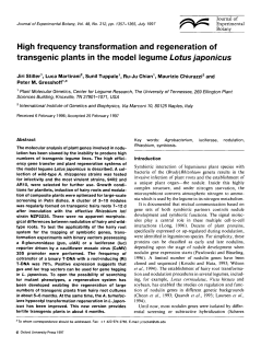 High frequency transformation and regeneration