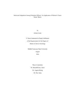 Strain and Adaptation Among Probation Officers
