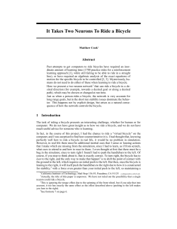 It Takes Two Neurons To Ride a Bicycle - Paradise