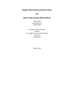 Aquatic Plant Survey of Serene Lakes