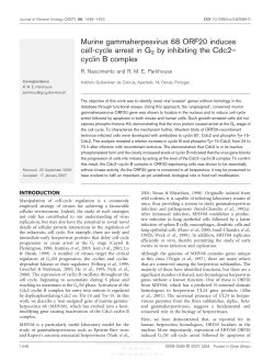 Murine gammaherpesvirus 68 ORF20 induces cell