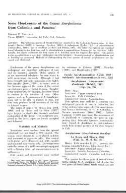 Some Hookworms of the Genus Ancylostoma from
