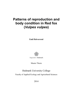 Patterns of reproduction and body condition in Red fox (Vulpes vulpes)