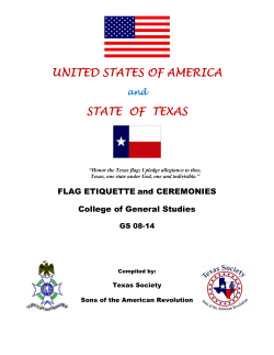 Flag Protocol Manual