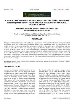 A REPORT ON RESURRECTION ACTIVITY OF THE FERN