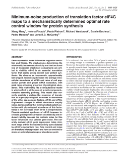 Minimum-noise production of translation factor eIF4G maps to a