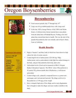 Fresh Boysenberry Datasheet