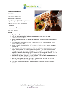 Fate Belgian Style Waffles