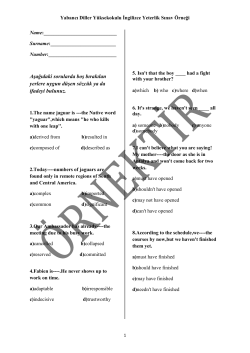 Fırat University School of Foreign Languages