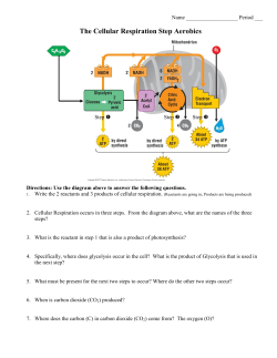 The Cellular Respiration HopScotch