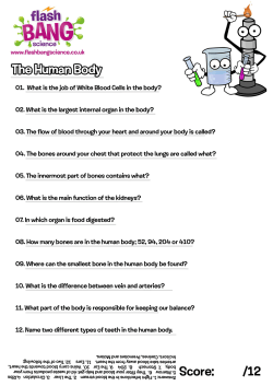 The Human Body - Flashbang Science