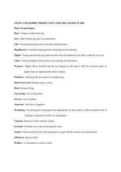 swine and rabbit production (aph 308)