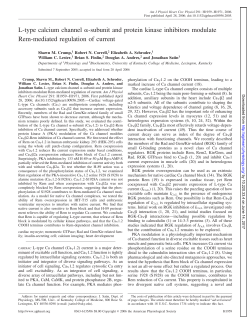 L-type calcium channel -subunit and protein kinase inhibitors