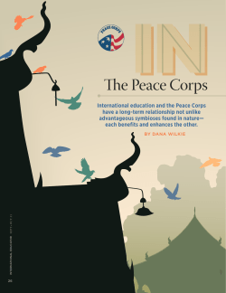 The Peace Corps and Intern