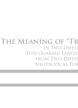 The Meaning of &ldquo;Tree&rdquo; - Portal de Revistas Cient&iacute;ficas da UFPA