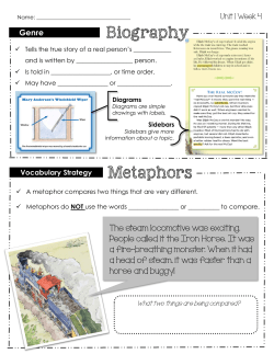 Biography Metaphors - Auburn City Schools