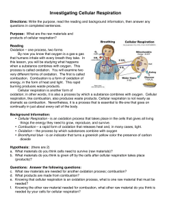 Investigating Cellular Respiration