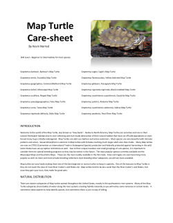 Map Turtle Care-sheet - Turtle Rescue League