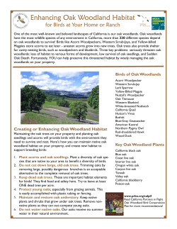 Enhancing Oak Woodland Habitat - Point Blue Conservation Science