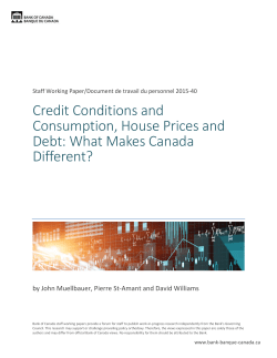Credit Conditions and Consumption, House Prices and Debt: What