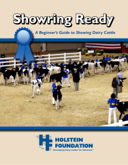 Showring Ready - A Beginner`s Guide to Showing Dairy Cattle
