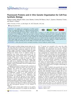 Fluorescent Proteins and in Vitro Genetic Organization for Cell