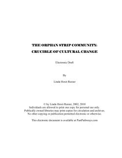 the orphan strip community: crucible of cultural change