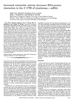 Increased contractile activity decreases RNA