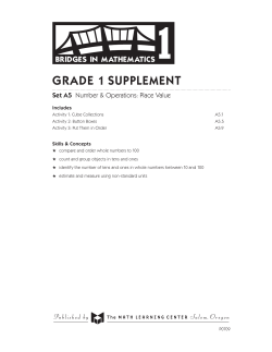Grade 1 supplement - Bridges First Edition Support