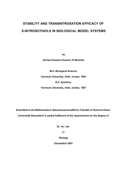 stability and transnitrosation efficacy of s