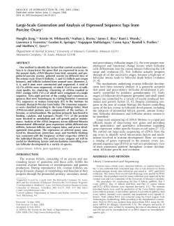 Large-Scale Generation and Analysis of Expressed Sequence Tags
