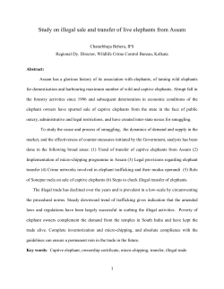 Study on illegal sale and transfer of live elephants