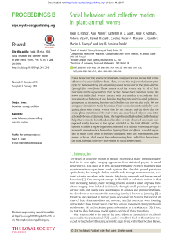 Social behaviour and collective motion in plant