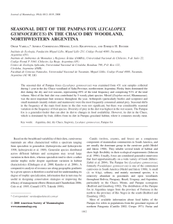 seasonal diet of the pampas fox