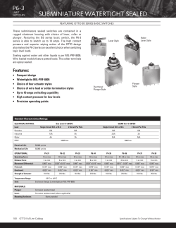 P6-3 Single Pole Catalog PDF