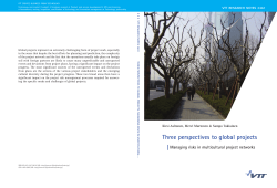 Three perspectives to global projects. Managing risks in