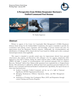 A Perspective from Within Deepwater Horizon`s Unified Command